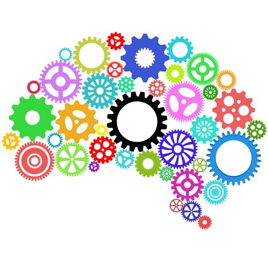 Understand the Brain’s Ground Rules and Become a Better Global Leader Understand the Brain’s Ground Rules and Become a Better Global Leader